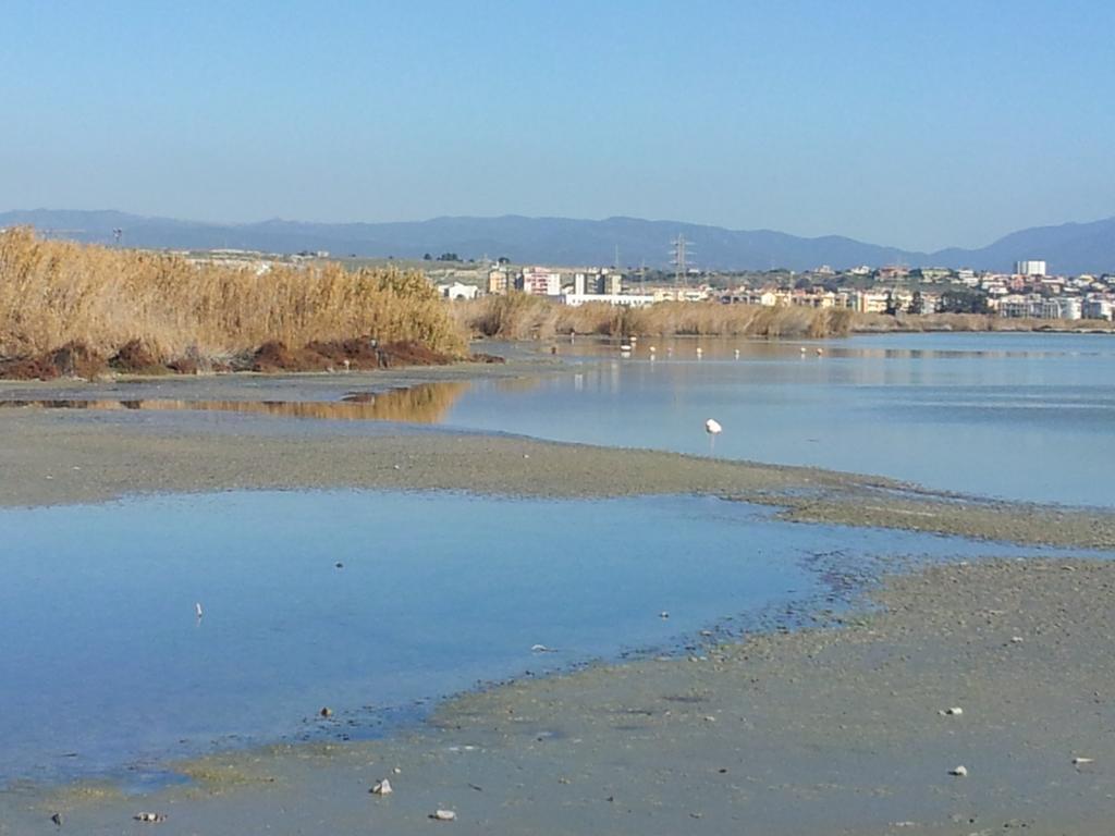 Appartamento Il Lilla Κάλιαρι Δωμάτιο φωτογραφία